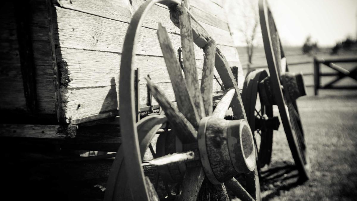 Symbolbild zum Thema Phil Campbell