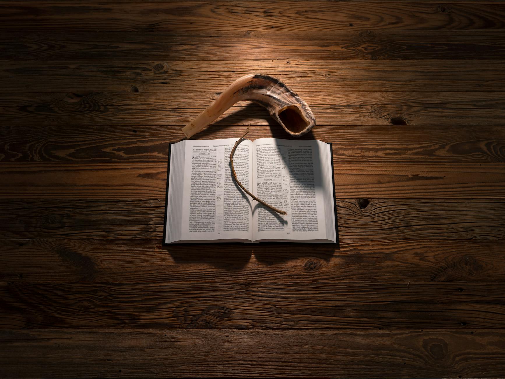 Illustration zu Philipp Horn