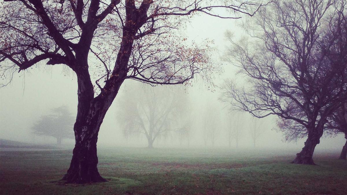 Symbolbild zum Thema Phillies – Rangers