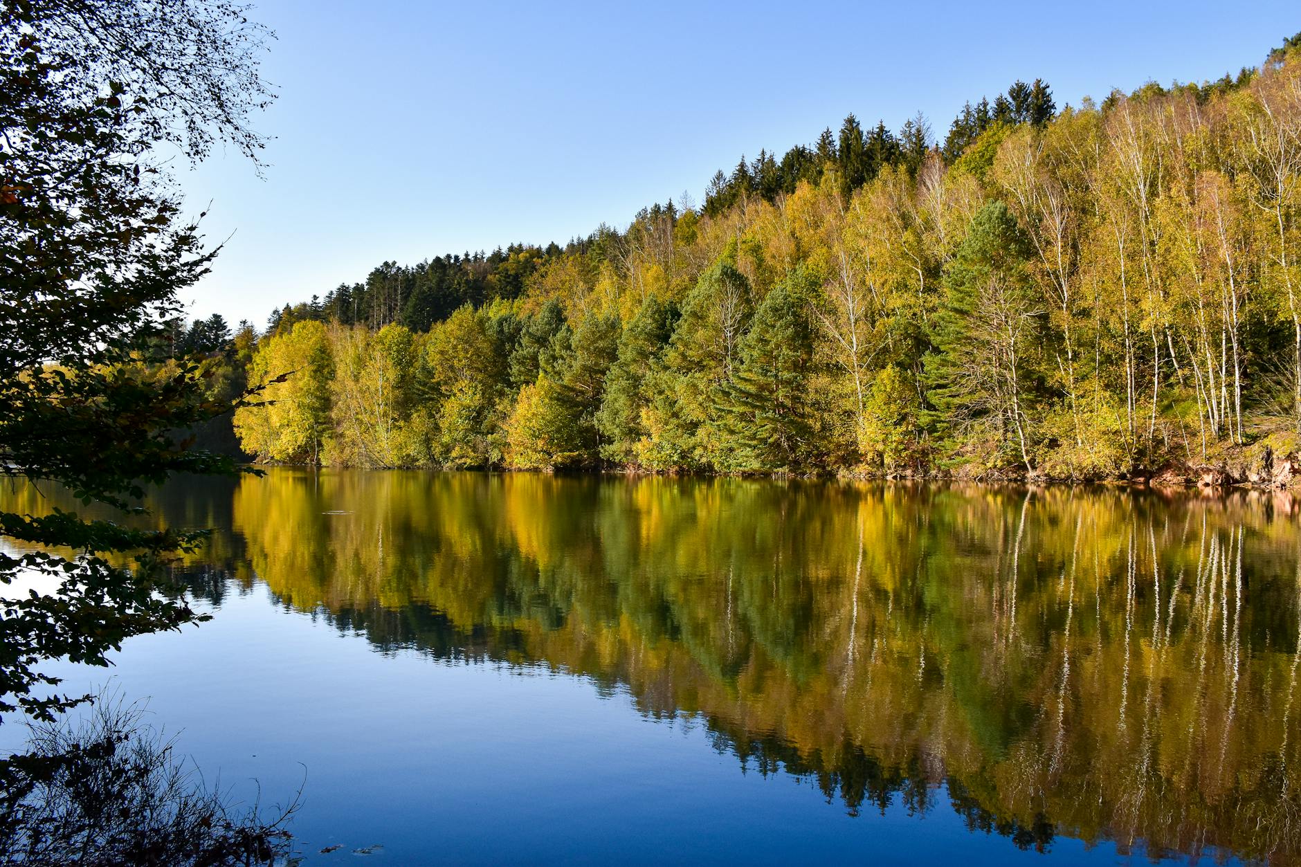 Detailansicht: Pierre Littbarski