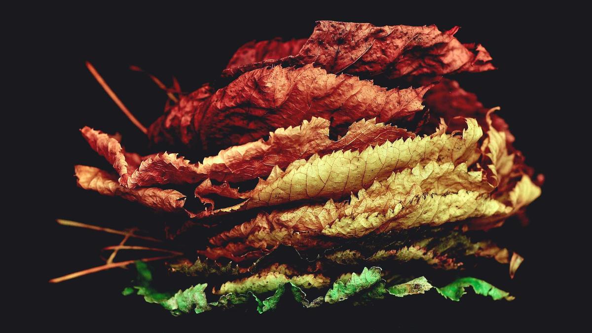 Illustration zu Playstation Plus Spiele April