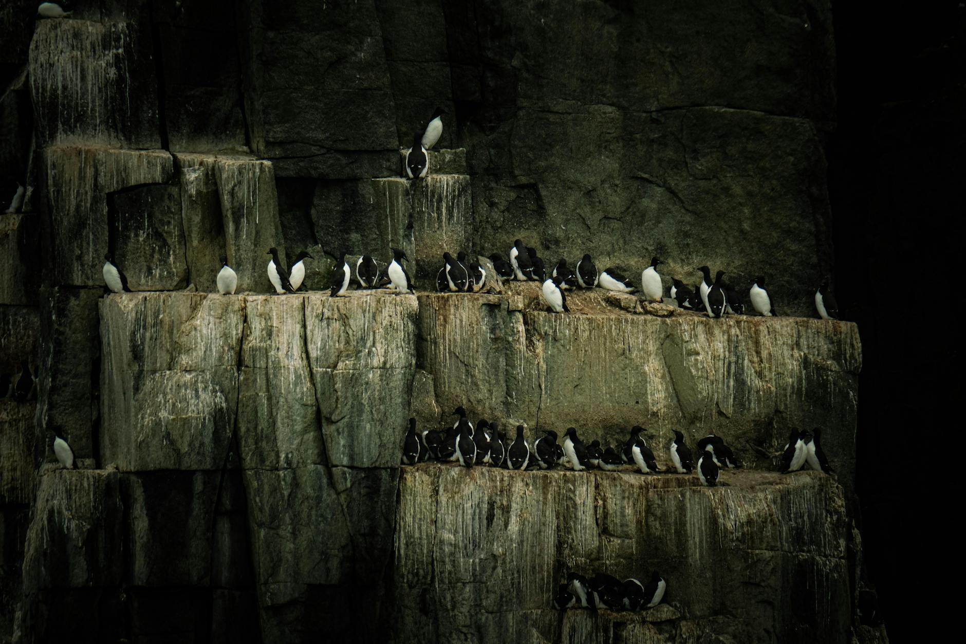 Illustration zu Polizei Rems-murr-kreis Aktuell