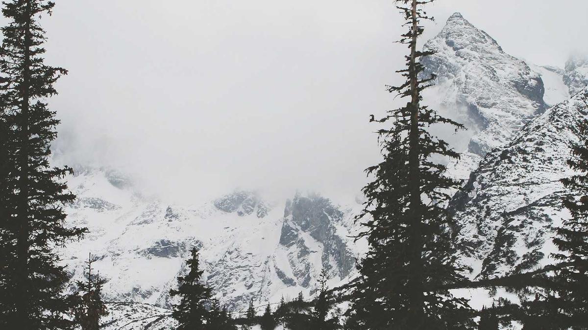 Polizei Sucht Zeugen Rastatt Illustration zu Polizei Sucht Zeugen Rastatt