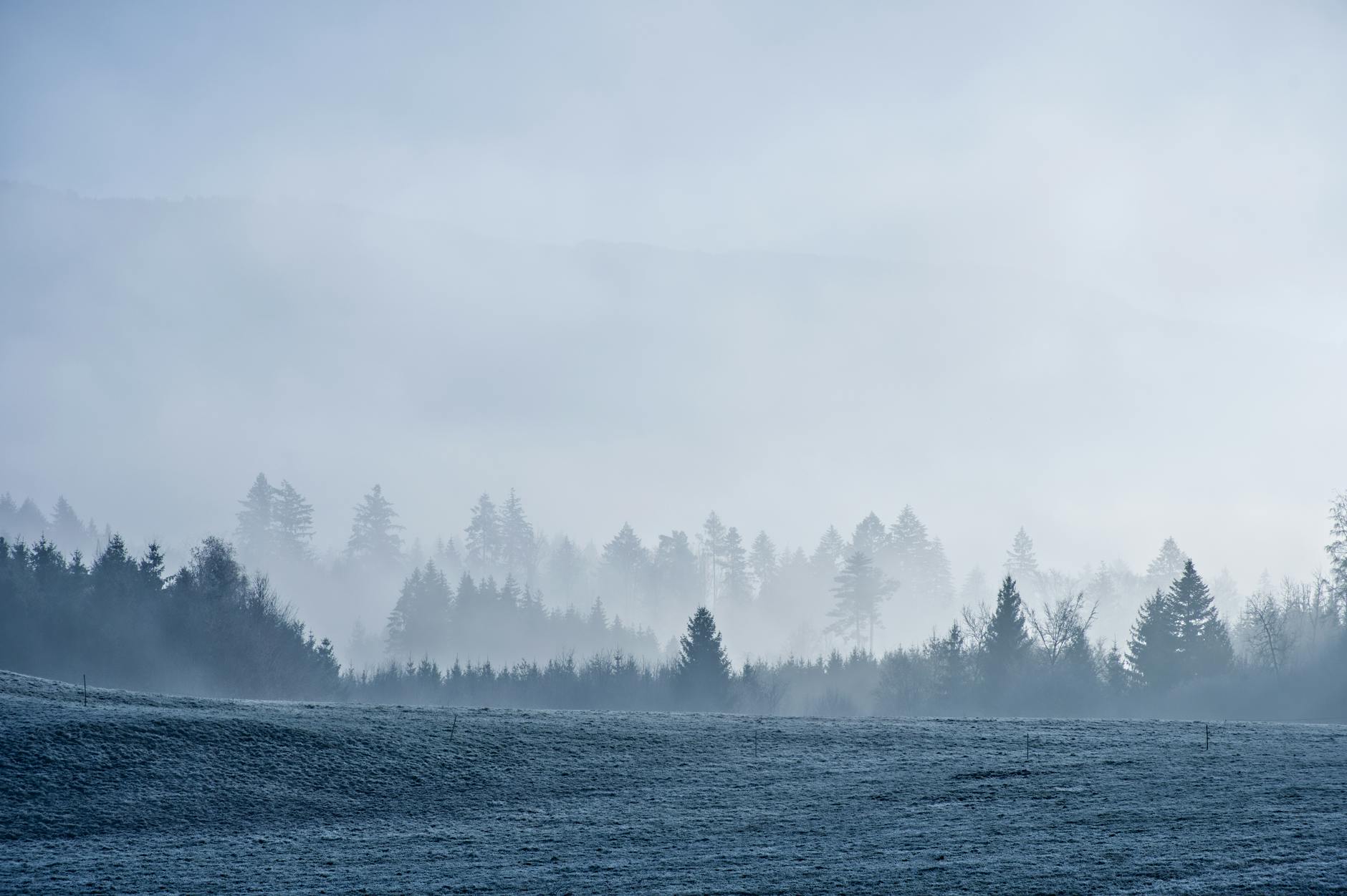Detailansicht: Polizeieinsatz Schopfheim