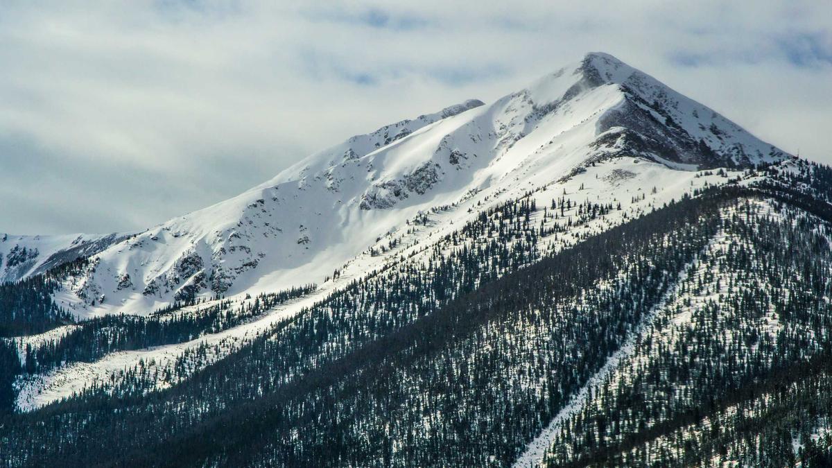 Illustration zu Polizeieinsatz Zwiefalten