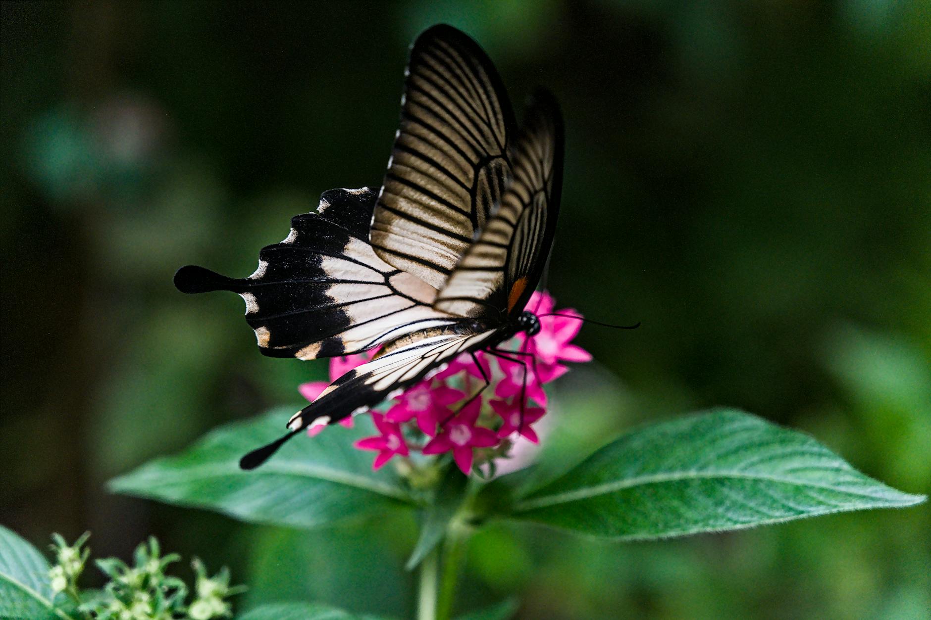 Detailansicht: Postauto Unfall Kerzers