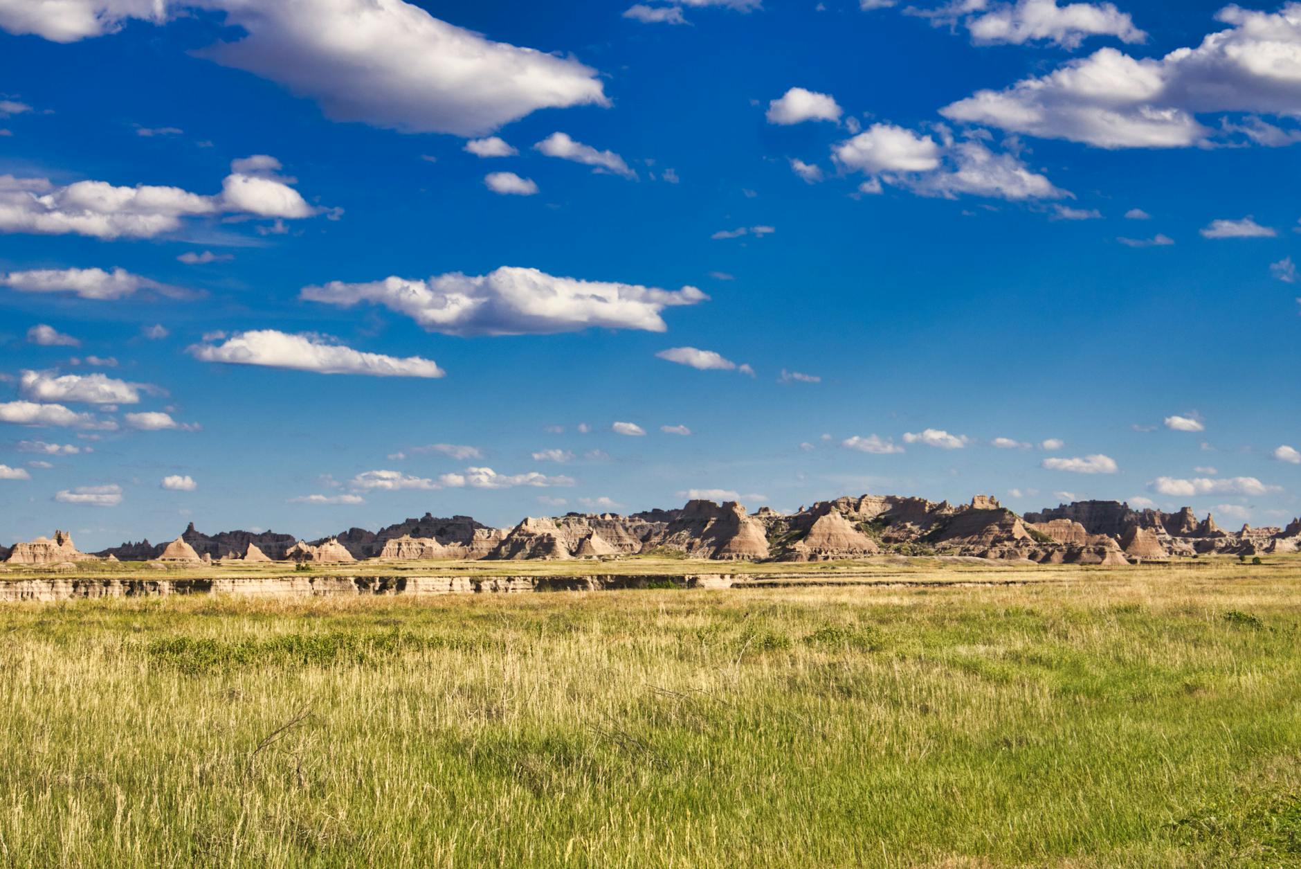 Predator Badlands Disney Plus Detailansicht: Predator Badlands Disney Plus