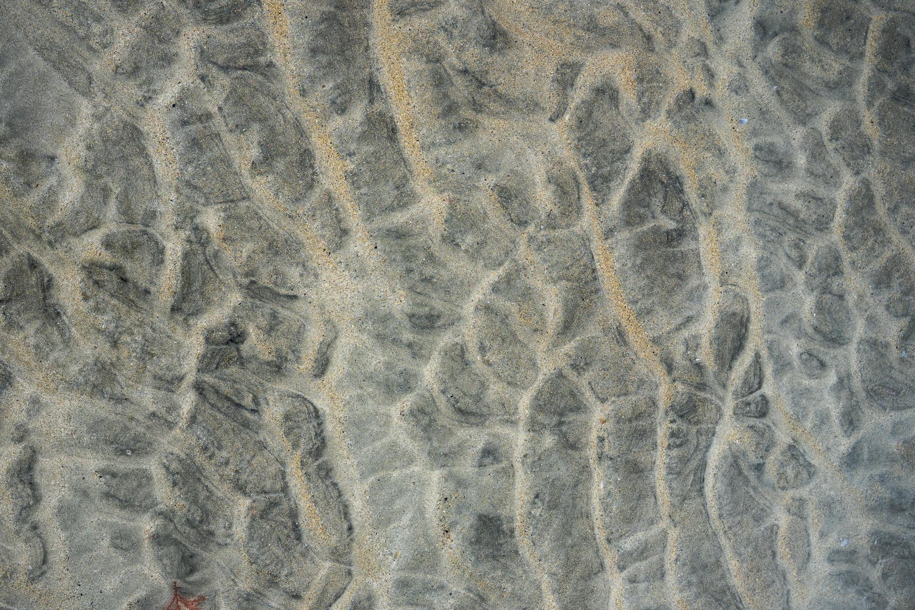 Detailansicht: Prinz Harry Meghan Australien