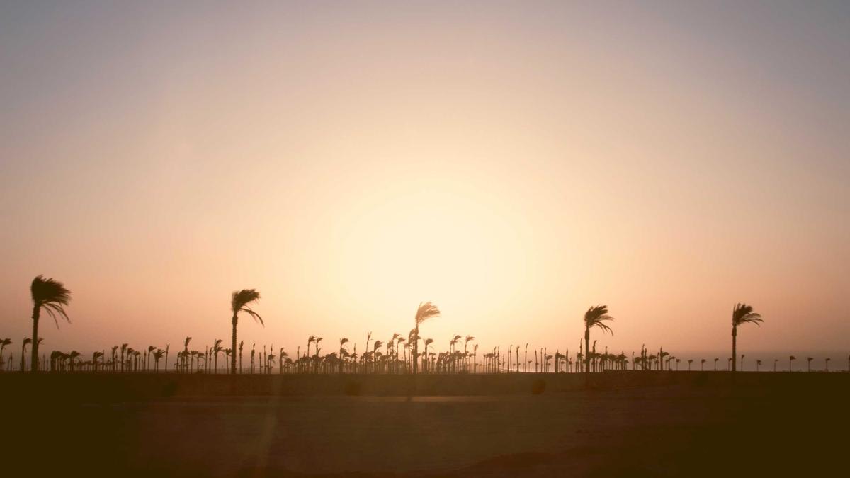 Detailansicht: Prinzessin Kate Baftas