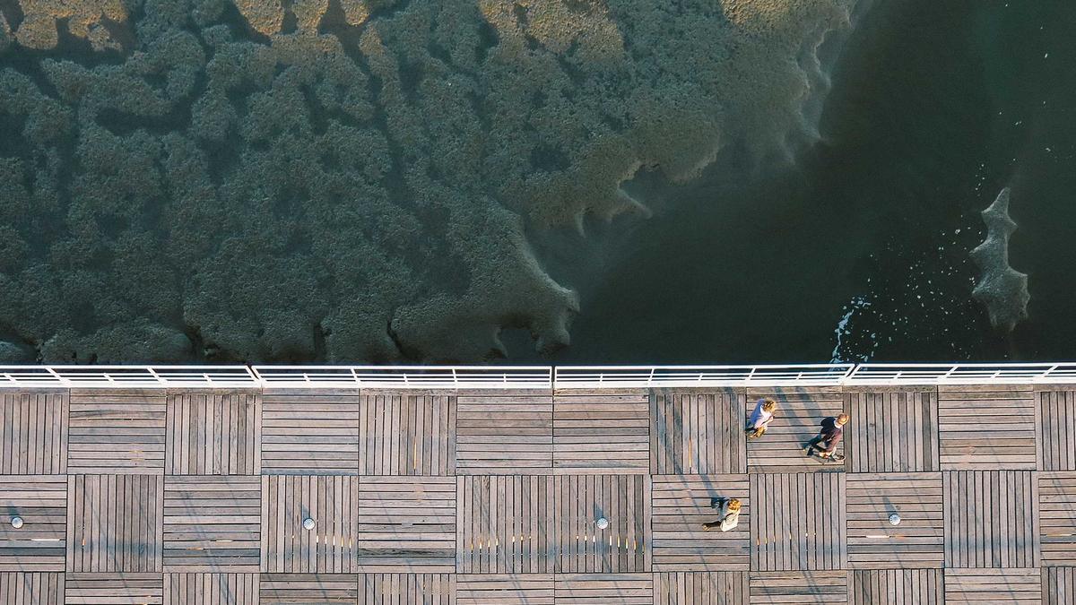 Profiteure Krieg Illustration zu Profiteure Krieg