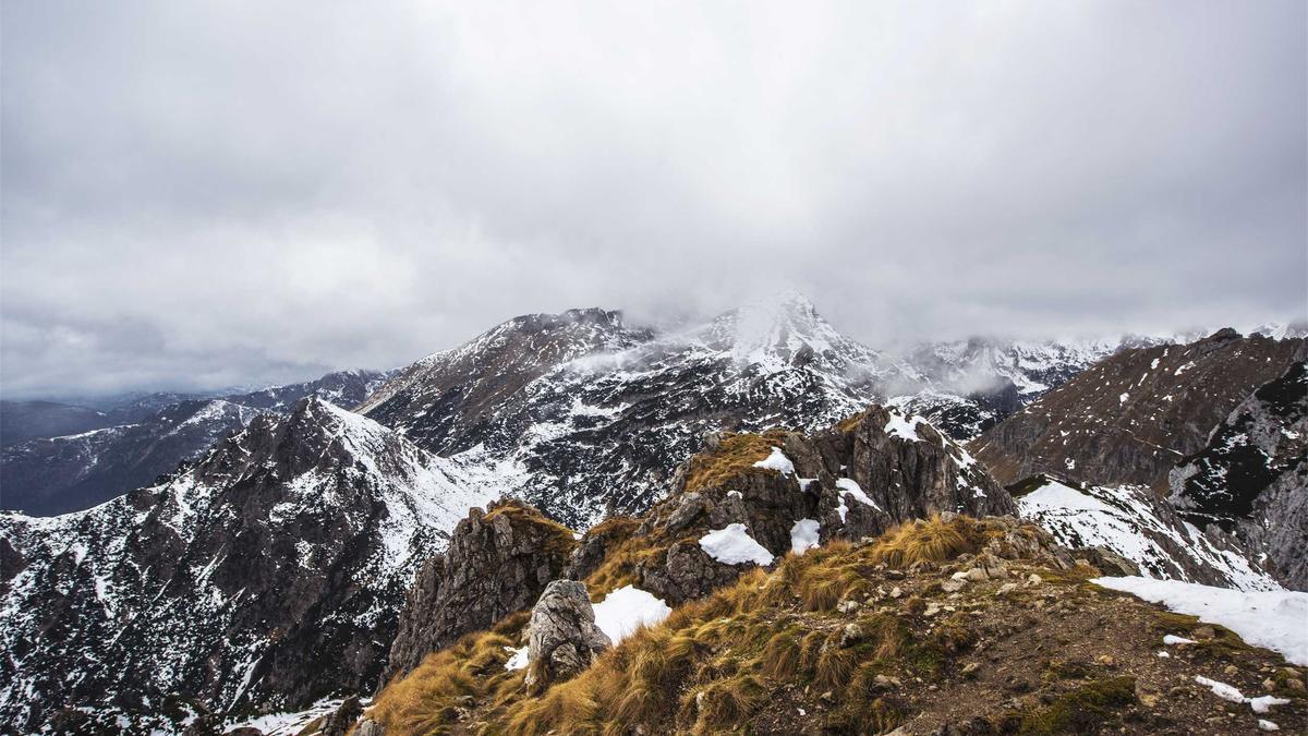 Illustration zu Promi News Aktuell