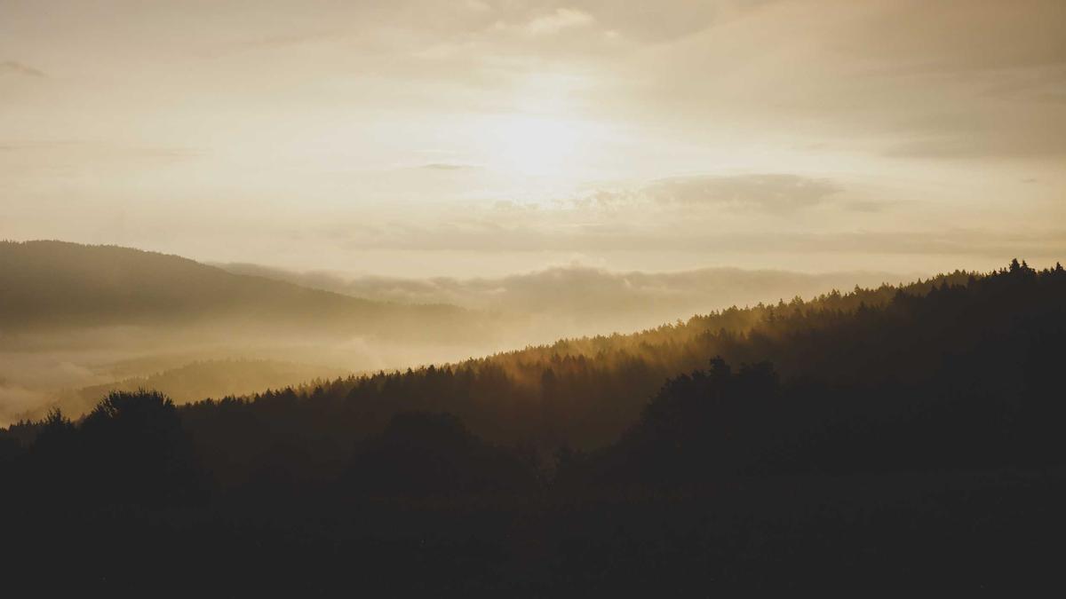 Symbolbild zum Thema Prominente Langzeitpaare