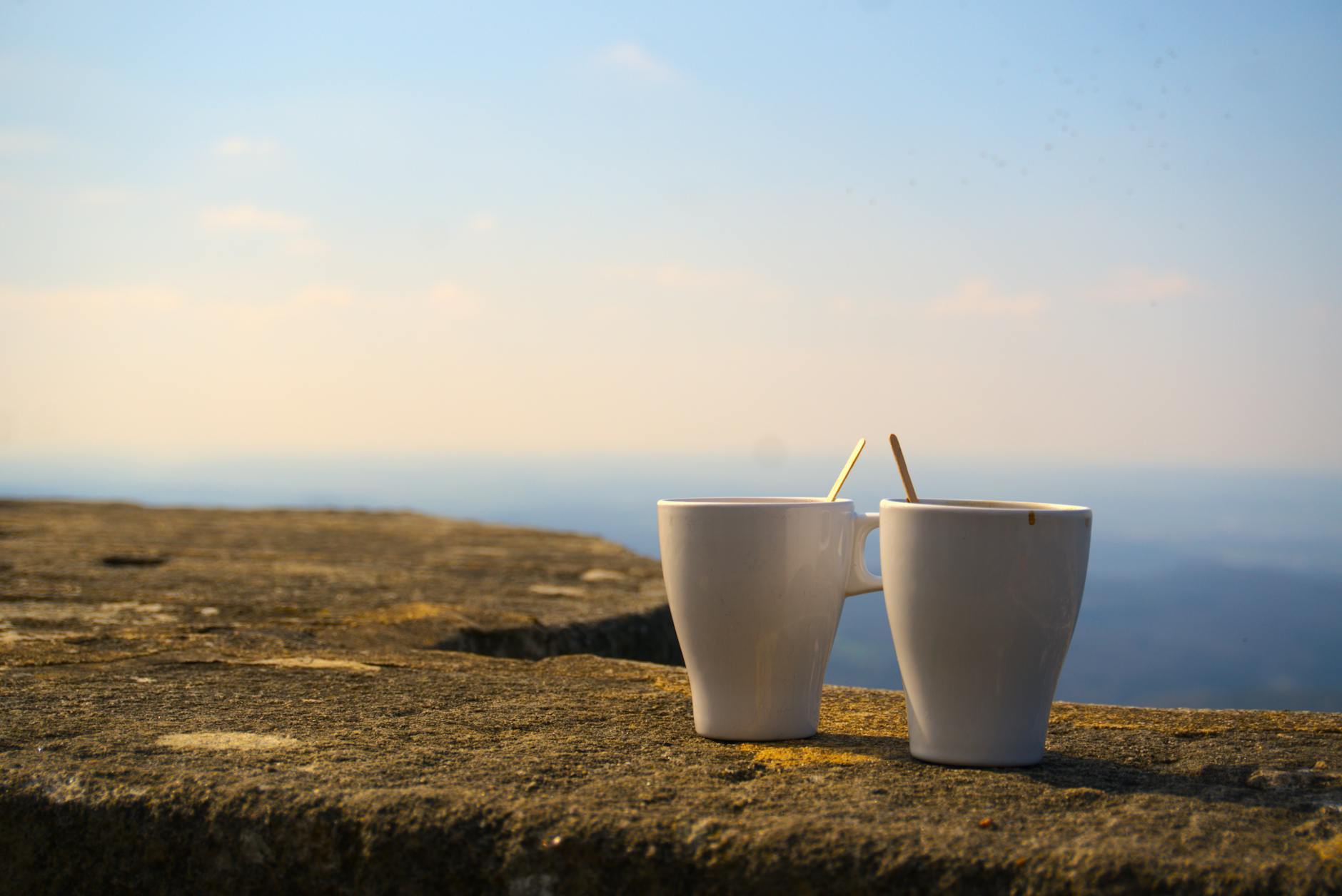 Illustration zu Promis Unter Palmen