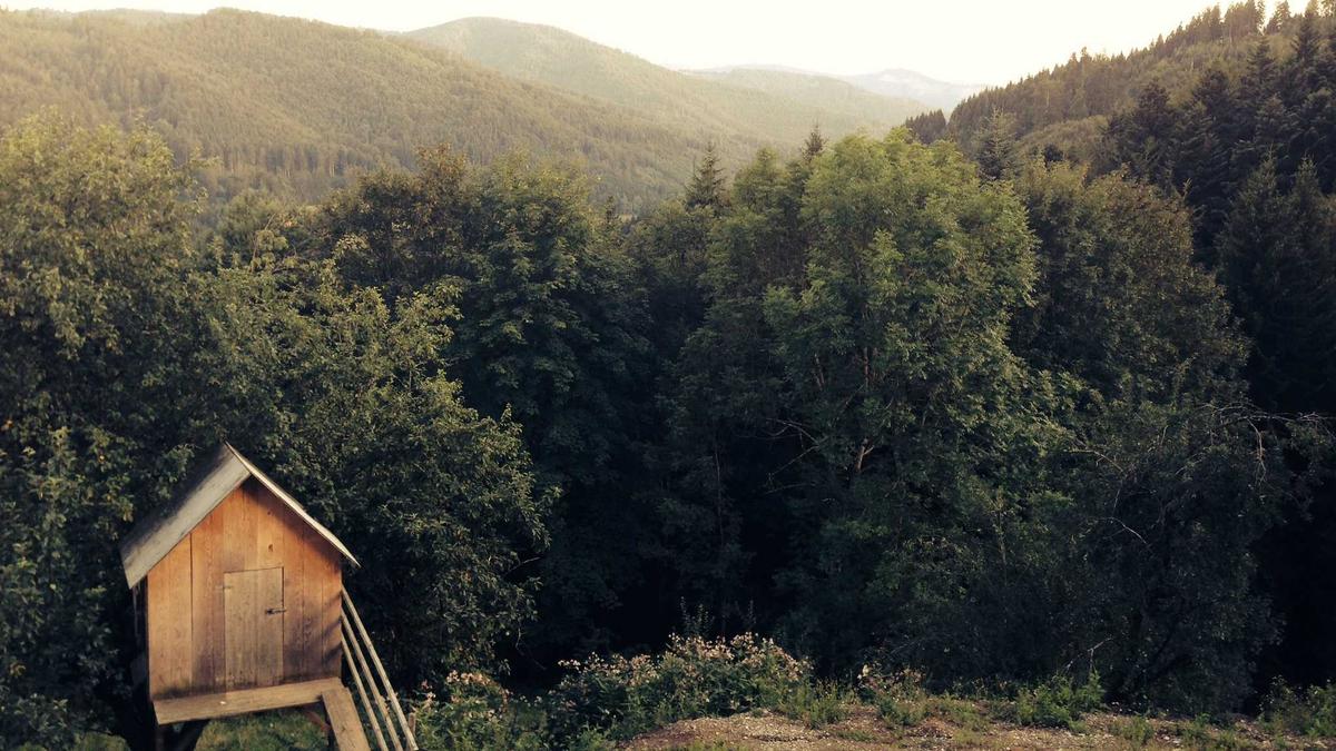 Symbolbild zum Thema PS Regeln Bayern Stars