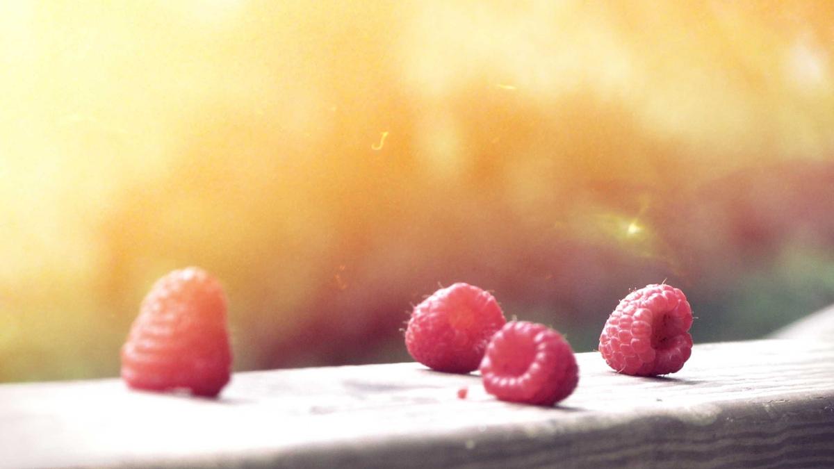 Detailansicht: Punch Affe