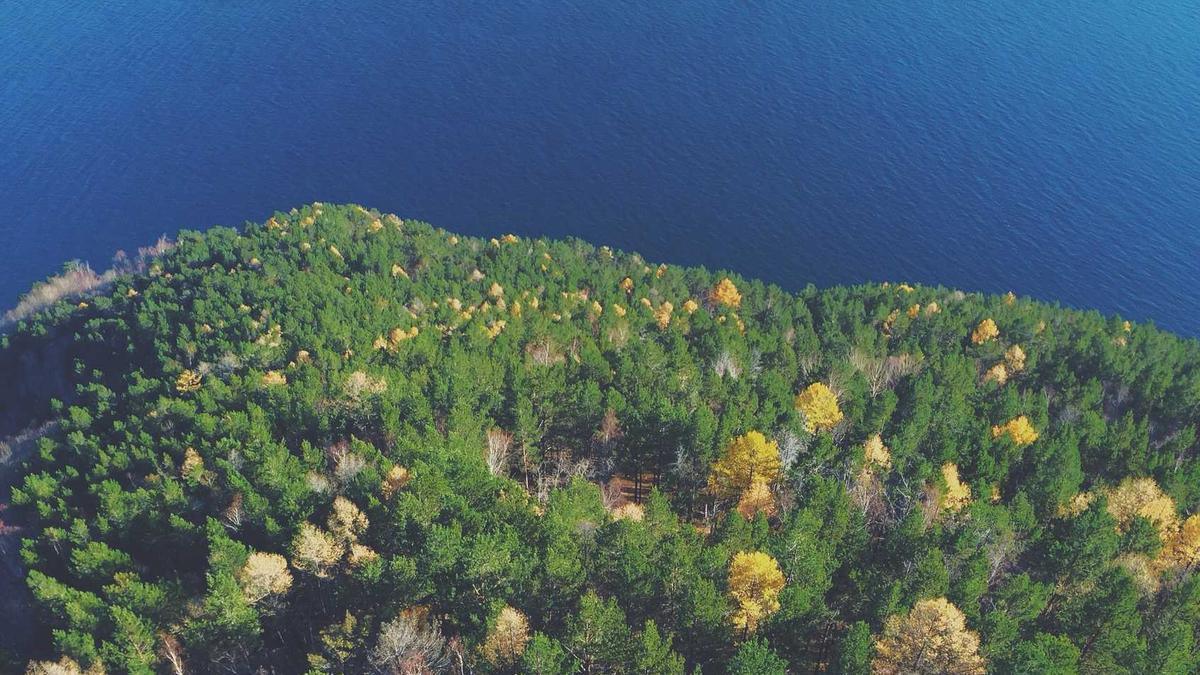 Radsport Detailansicht: Radsport