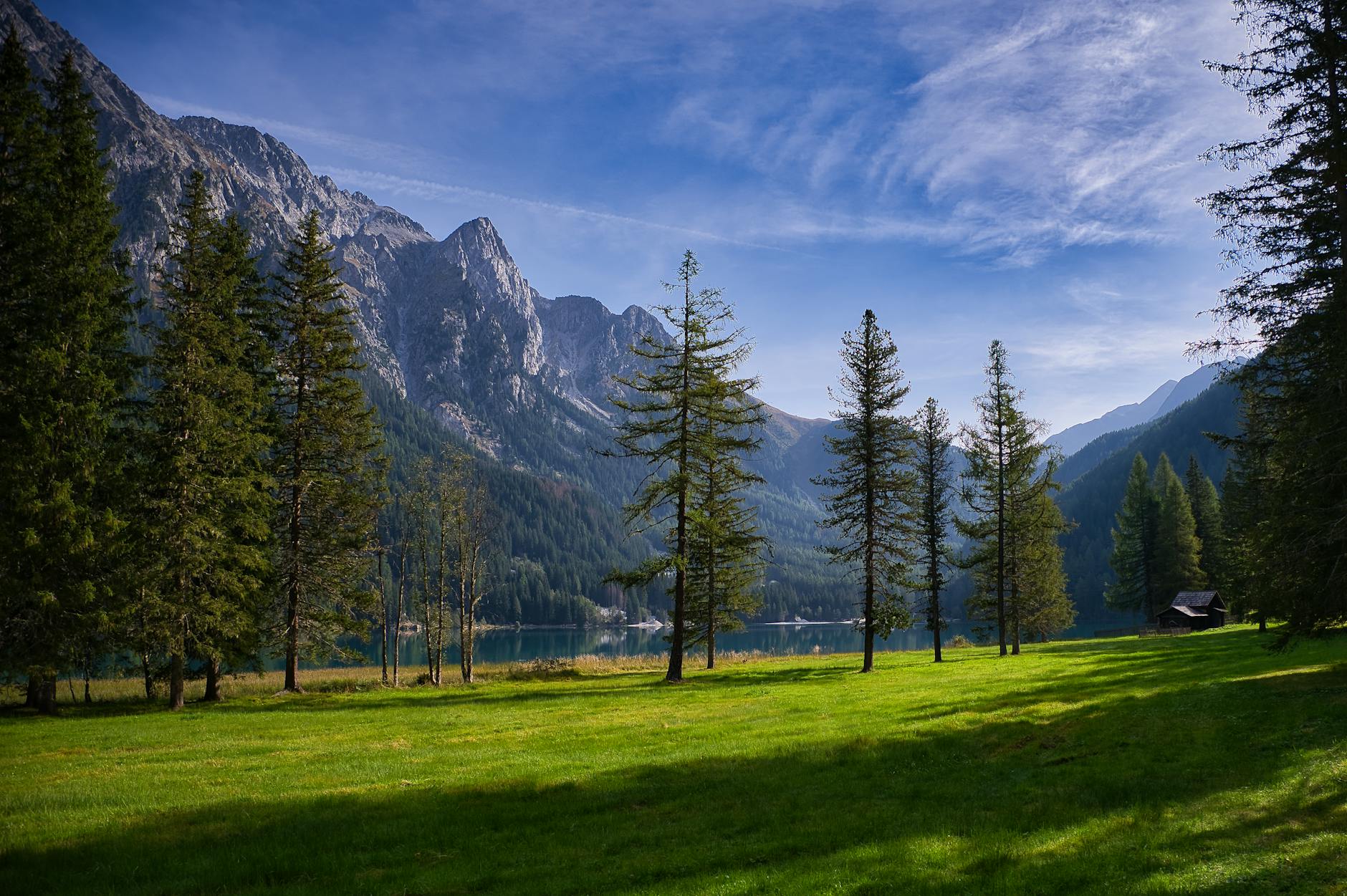 Illustration zu Rasen Mähen Tipps