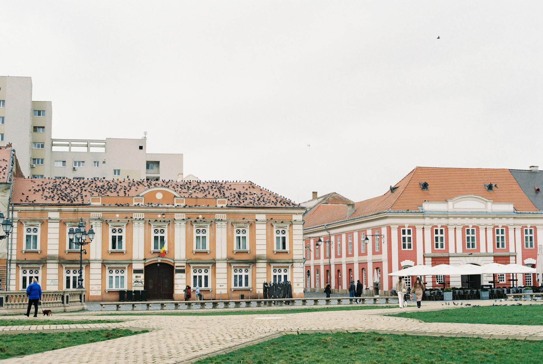 Detailansicht: Raserin Rumänien