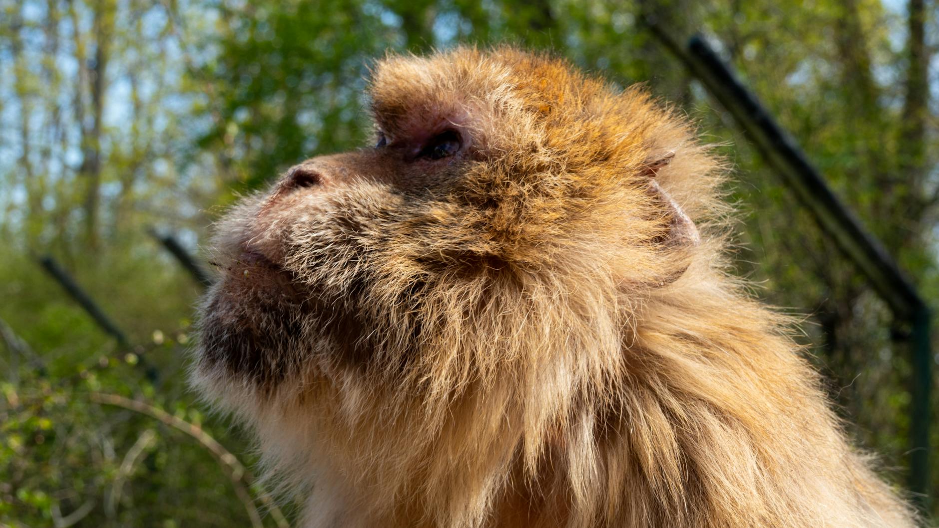 Rassistischer Angriff Erfurt Detailansicht: Rassistischer Angriff Erfurt