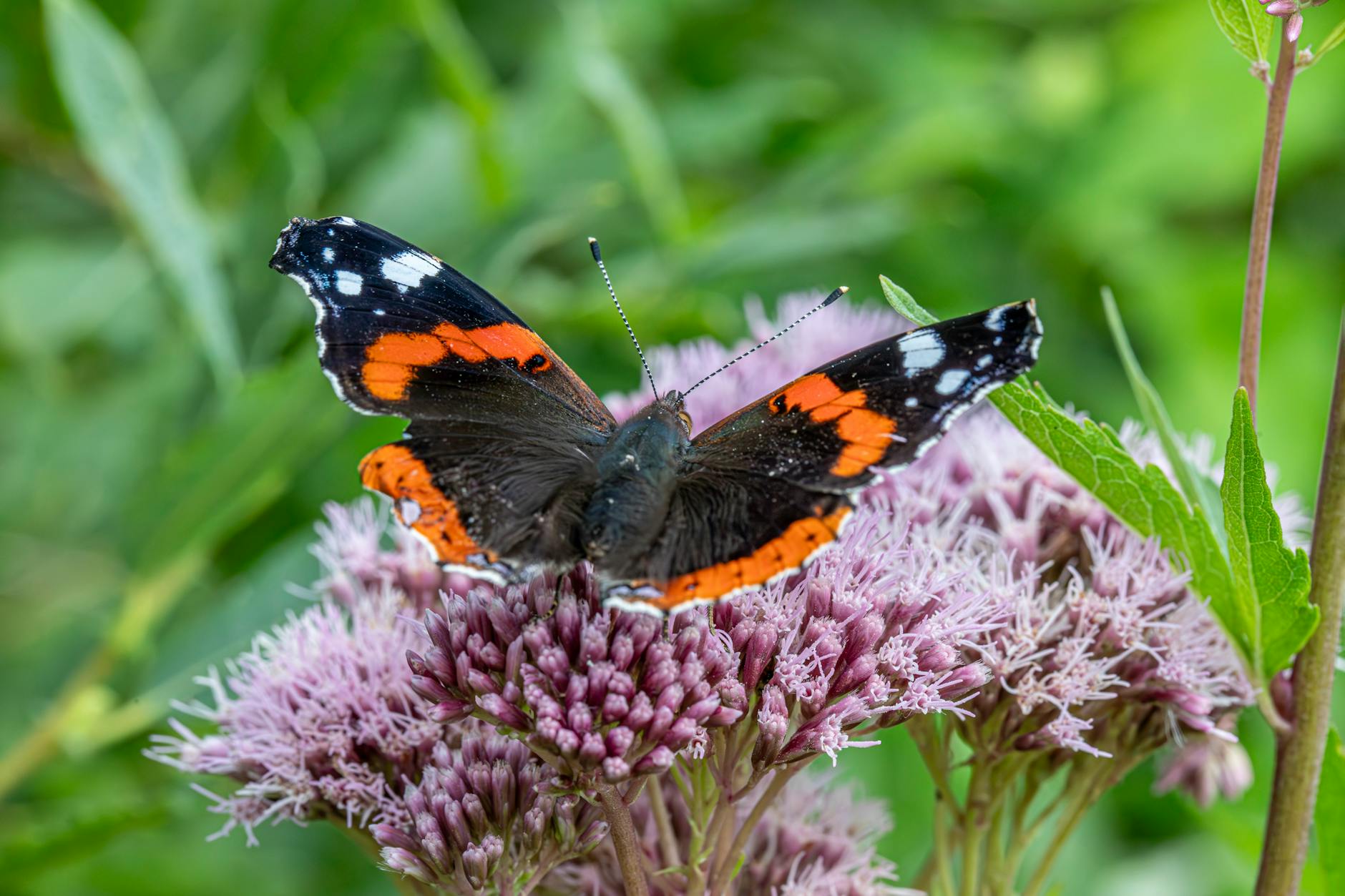 Raul Richter Vanessa Schmitt Detailansicht: Raul Richter Vanessa Schmitt