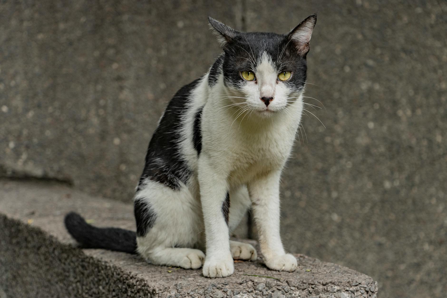Symbolbild zum Thema Rentenerhöhung 2024