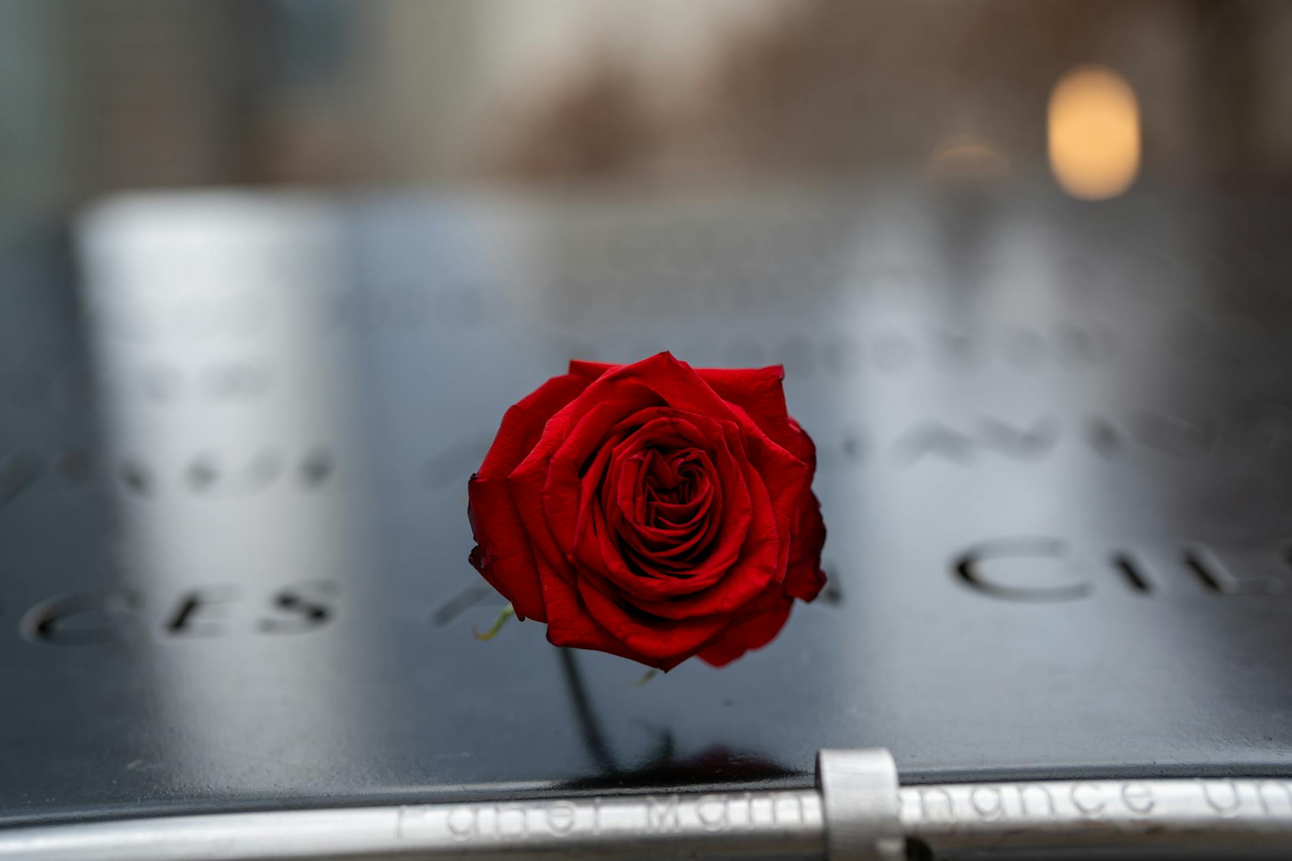 Rick And Morty Staffel 9 Detailansicht: Rick And Morty Staffel 9