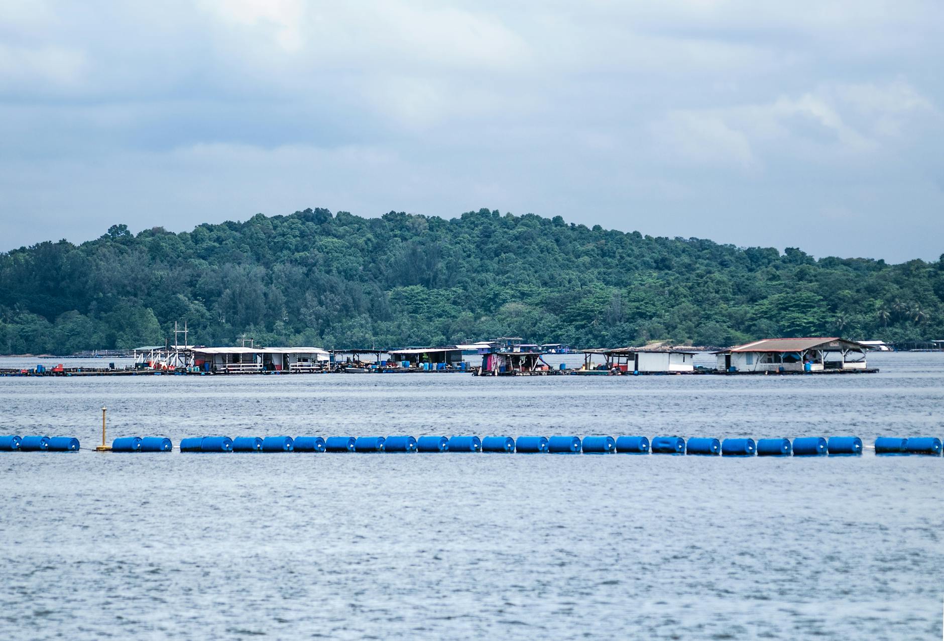 Detailansicht: Ried – Austria