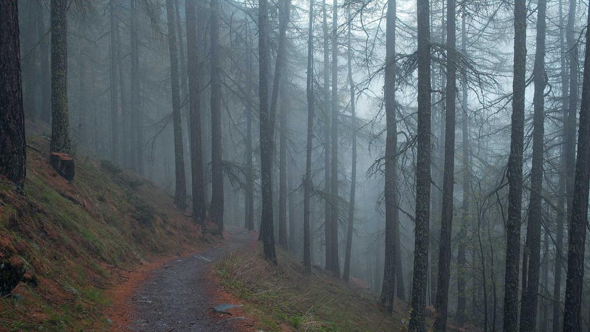 Symbolbild zum Thema Roche Genussschein Abschaffung