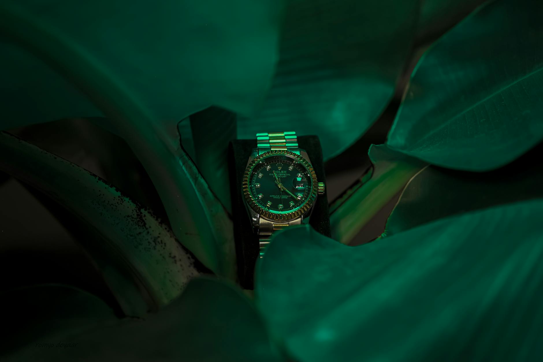 Rolex Illustration zu Rolex