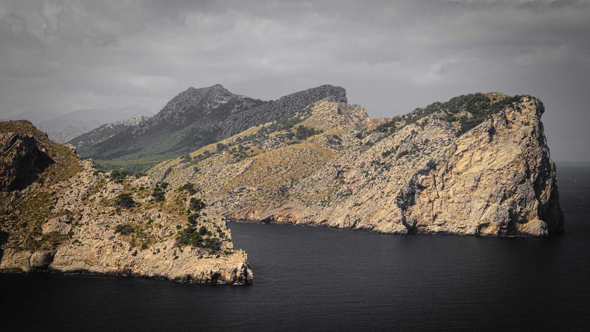 Illustration zu Rolltreppen Störung