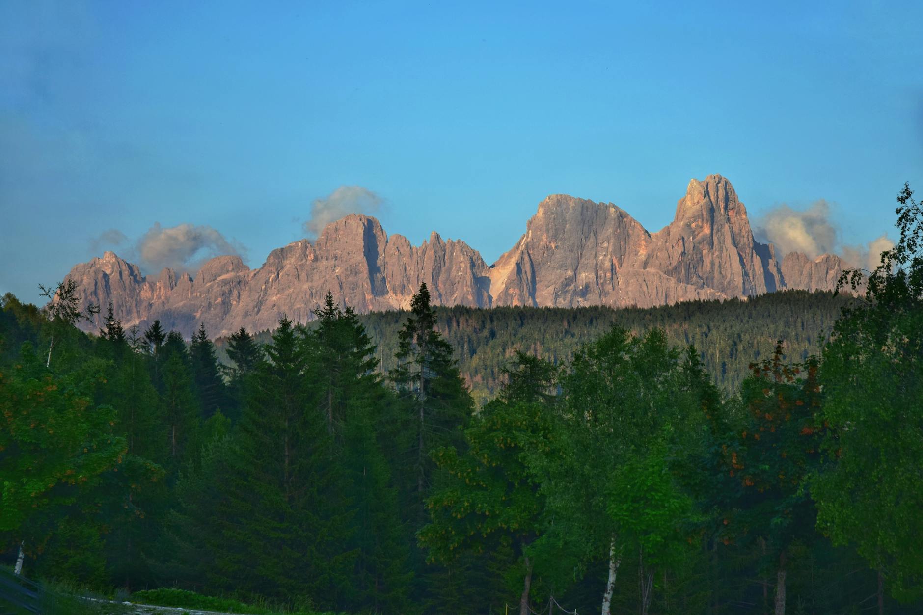Illustration zu Rosengarten Babyleiche