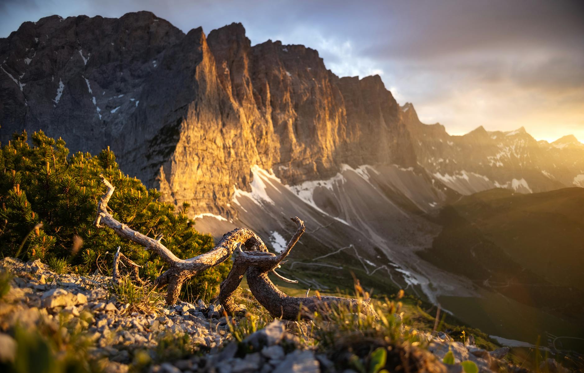 Symbolbild zum Thema Rosengarten Babyleiche