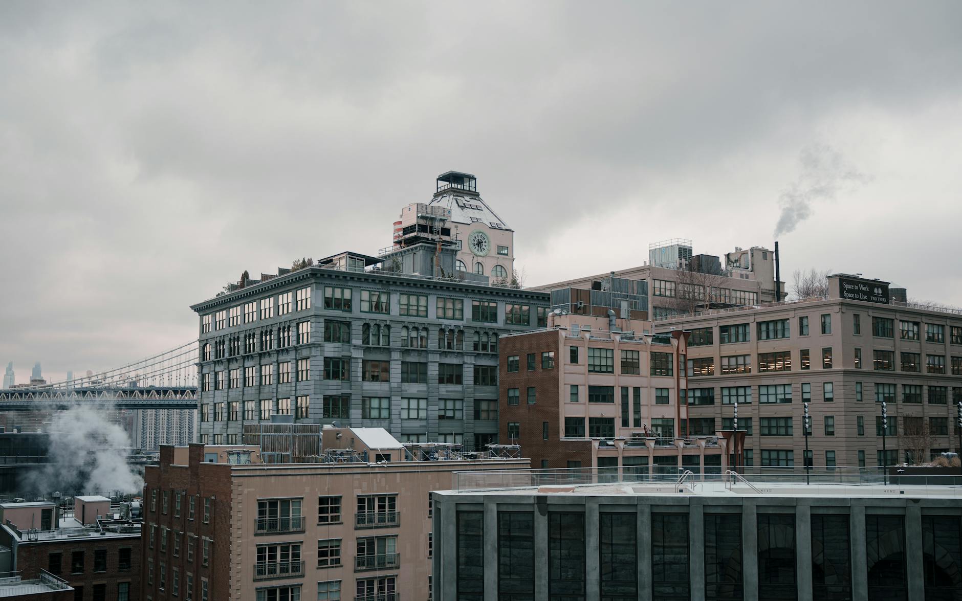Rotmilane Verhalten Winter Symbolbild zum Thema Rotmilane Verhalten Winter