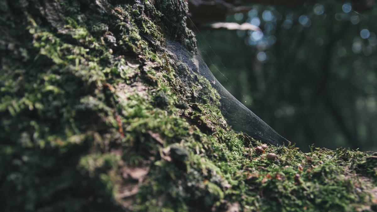 Illustration zu Rottenburg Einbruch