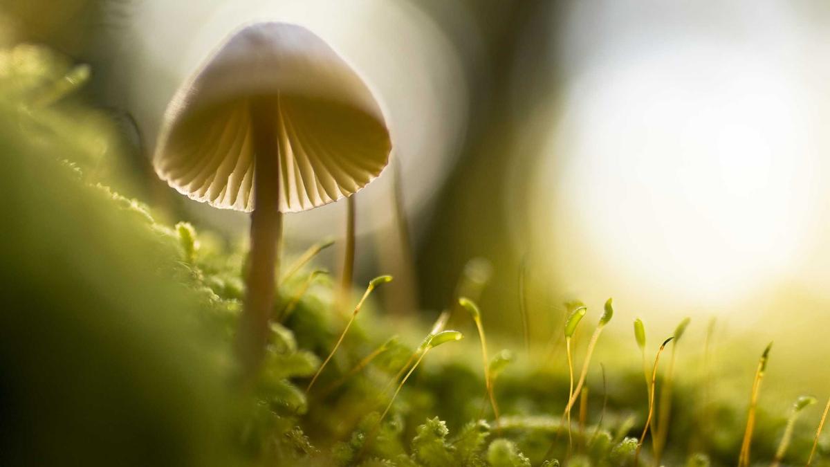 Detailansicht: Sachbeschädigung Fernwärmeanlage