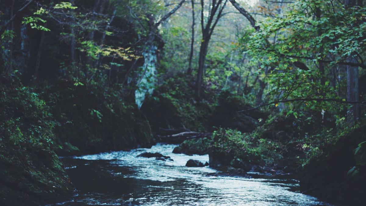 Detailansicht: Salford City – Newport