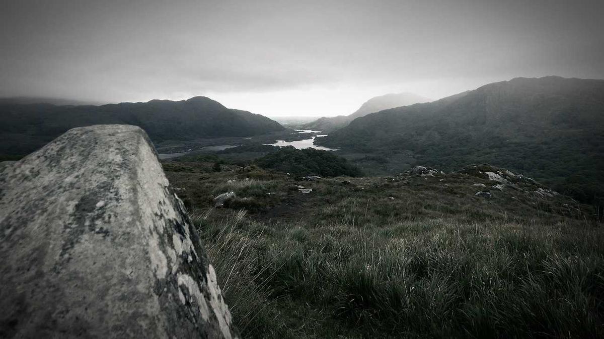 Illustration zu Sarah Ferguson Irland