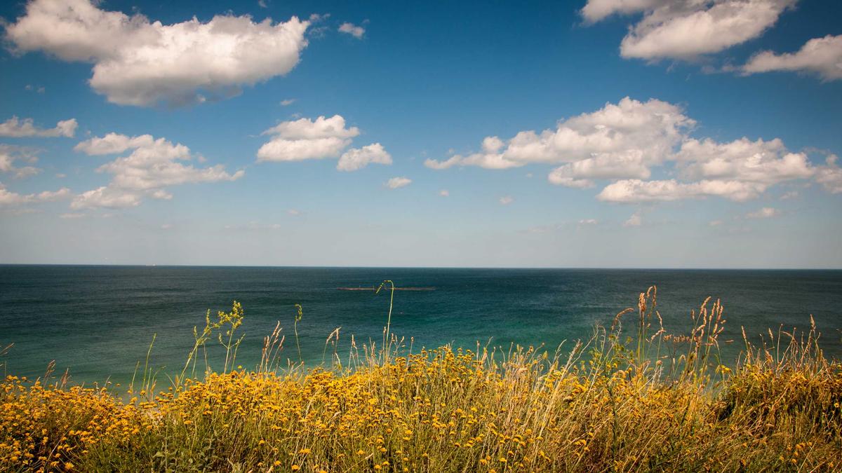 Schalke – 1. FC Magdeburg Symbolbild zum Thema Schalke – 1. FC Magdeburg