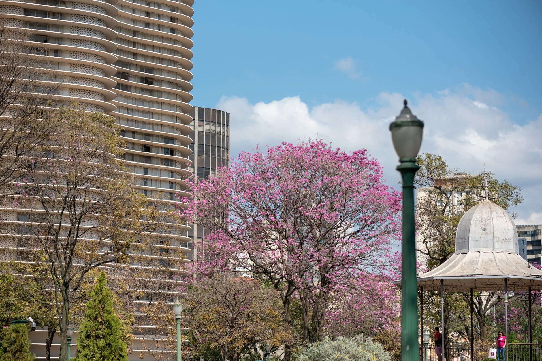 Detailansicht: Schauspielerin Oscar Nominiert