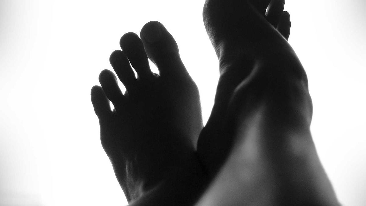 Illustration zu Schnitzel Preis 1994