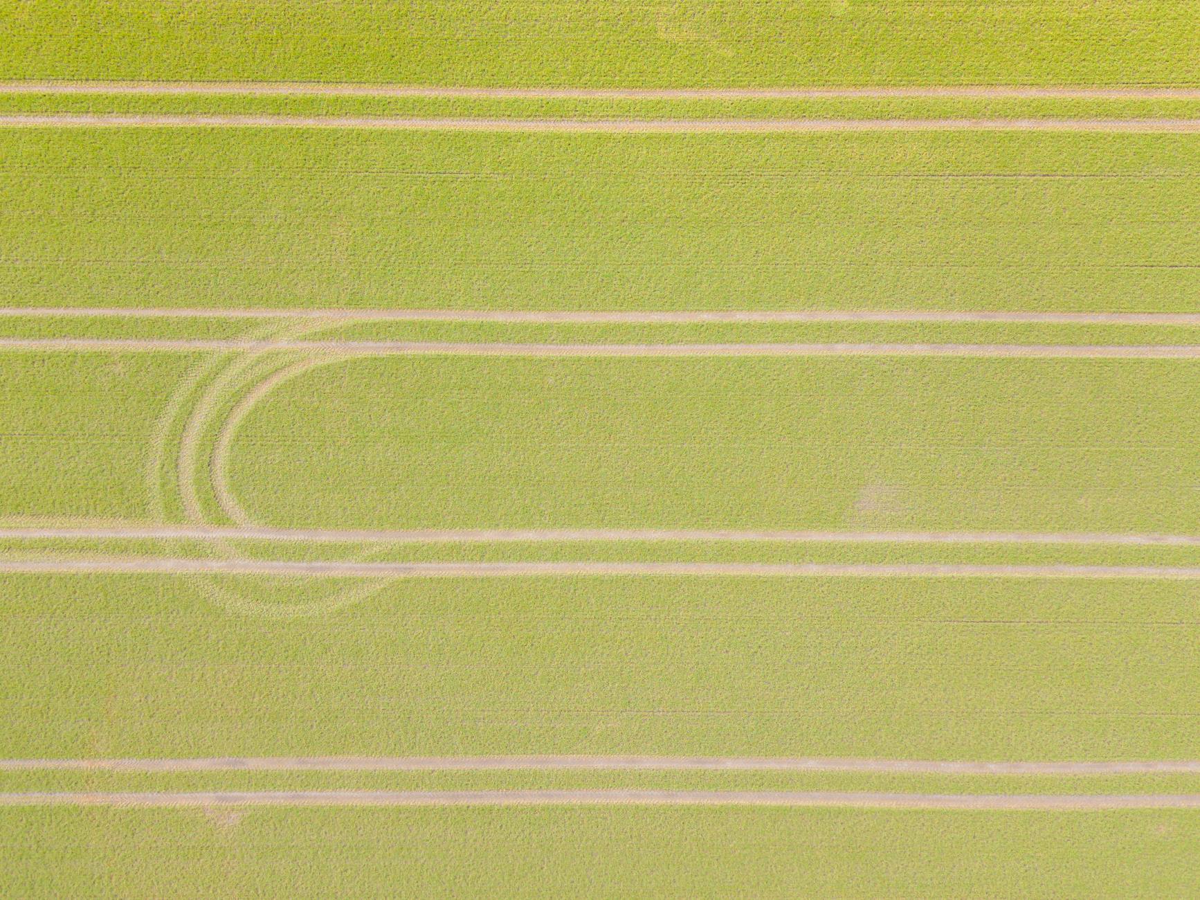 Illustration zu Schüsse Bramsche