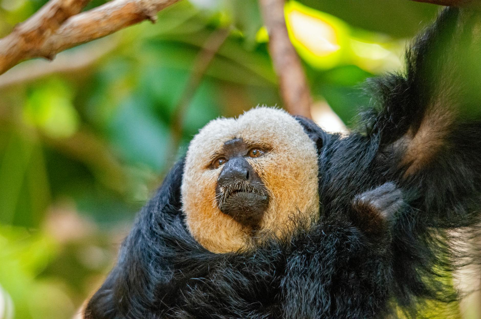 Illustration zu Schuleinbruch Nürnberg