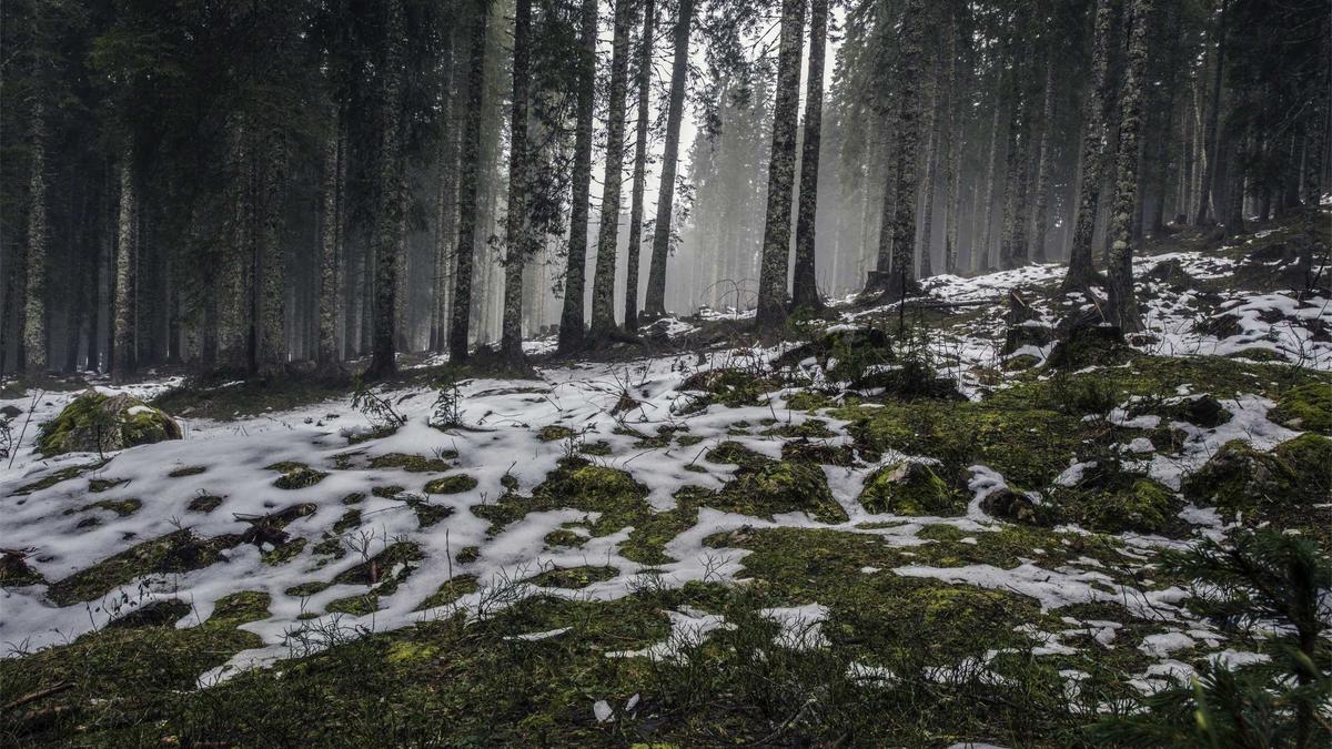 Detailansicht: Schweiz Italien