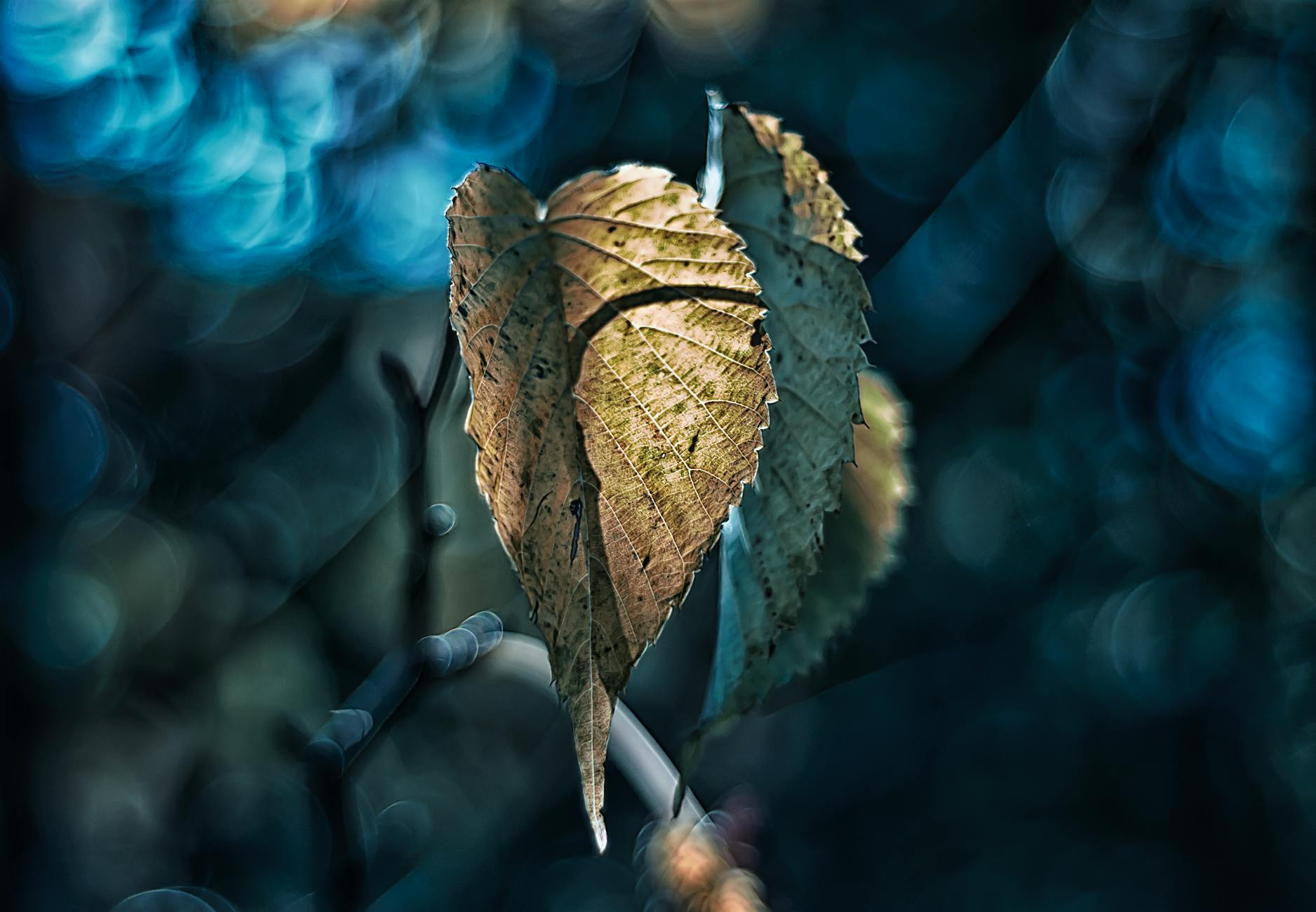 Illustration zu Schwerer Raub Mannheim