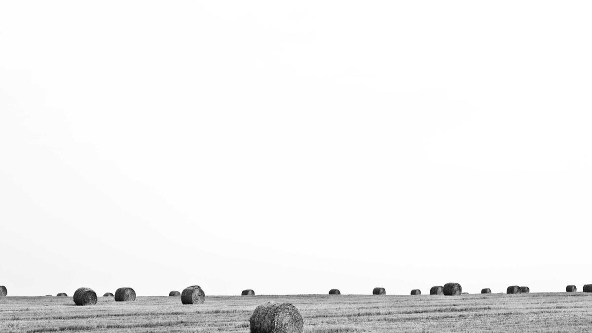 Sci Fi Film 2025 Symbolbild zum Thema Sci Fi Film 2025