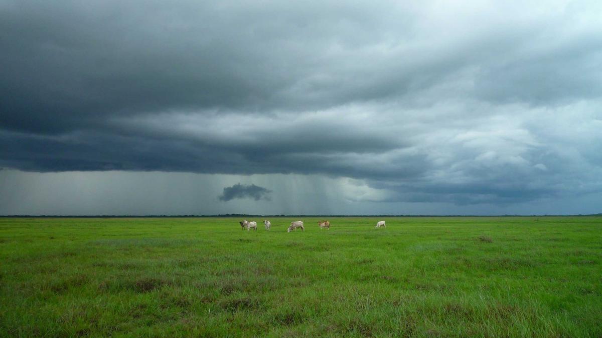 Symbolbild zum Thema Scotland National Cricket Team VS Nepal National Cricket Team Standings
