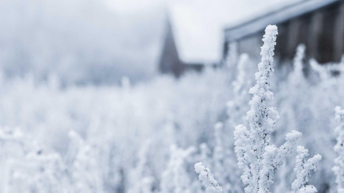 Detailansicht: Scrubs Disney Plus