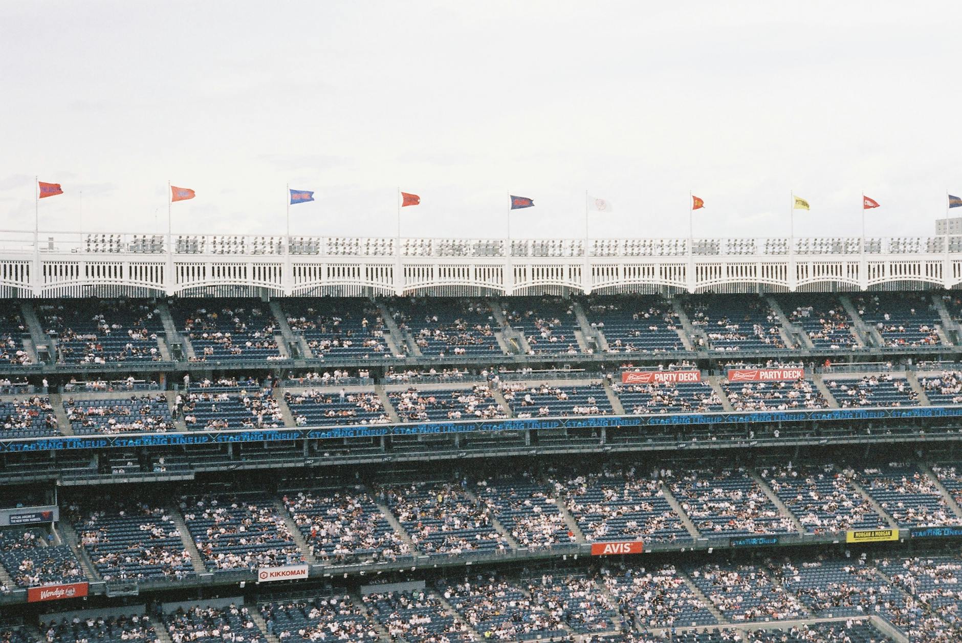 Symbolbild zum Thema Seltene Tiere Kambodscha