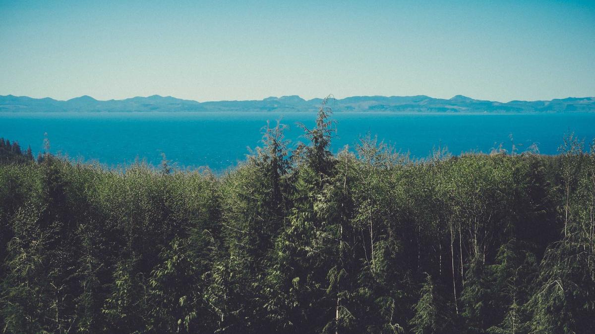 Servette – Sion Symbolbild zum Thema Servette – Sion