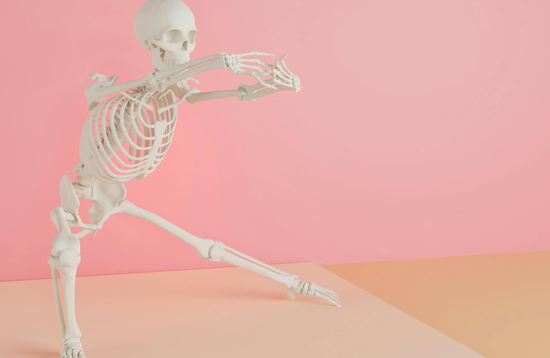 Skeleton Detailansicht: Skeleton